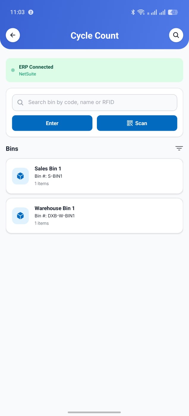 Cycle count screen with bins to audit